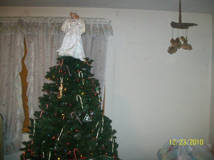 james phillips' album, December 26, 2010