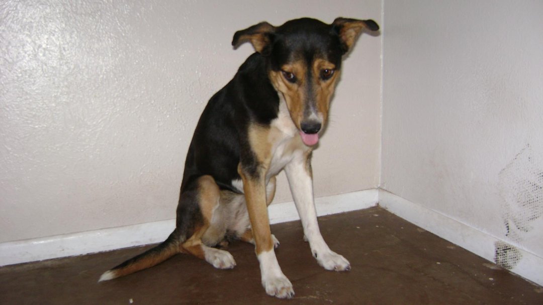 Todd Born's album, Shiloh June 2011