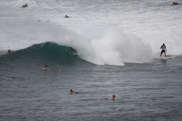 Mike Davis' album, a couple shots of honolua bay