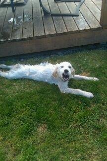Nancy Rouse's album, Cooper and Friends