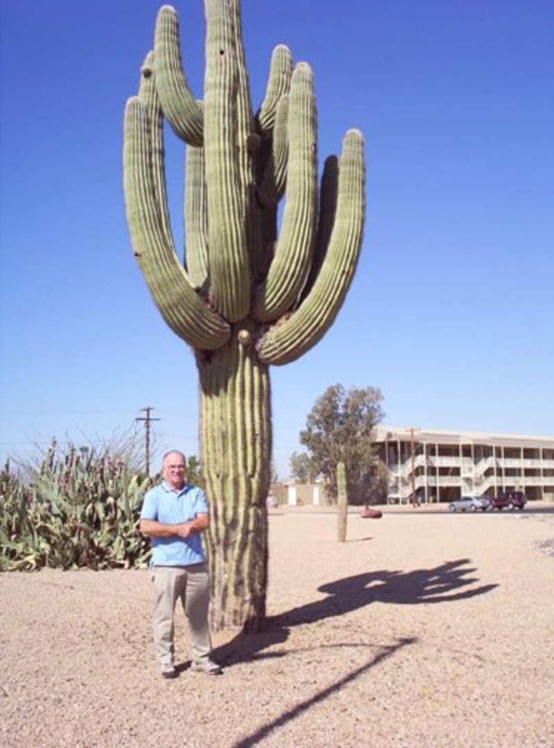 Bob Robitaille's album, Profile Pictures