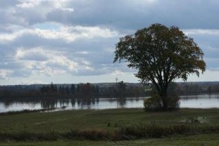Mark Gorin's album, October 24, 2011