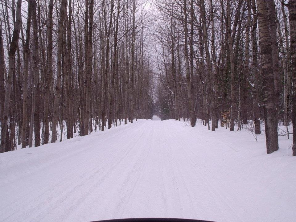 mARSHALL Hodges' album, Snowmobiling in Cadillac Michigan