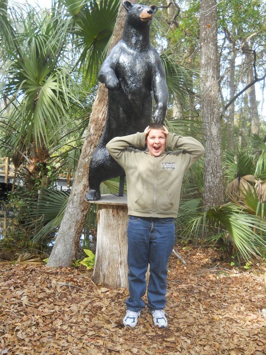 jerri burdo's album, visiting the manatees