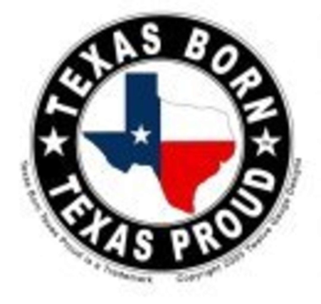 David Bedrich's album, Texas