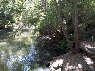 Terry Federoff's album, To and at Morgan Hill