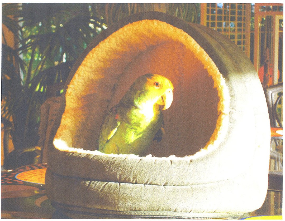 Fank Digilio's album, August 23, 2011