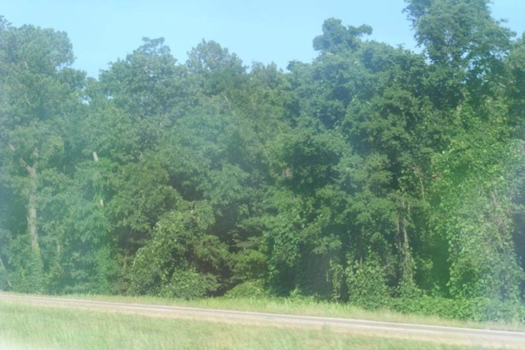 Regina Rowe's album, trip to kentucky summer 2008