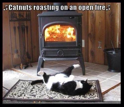 Paul Gibbs' album, Timeline Photos