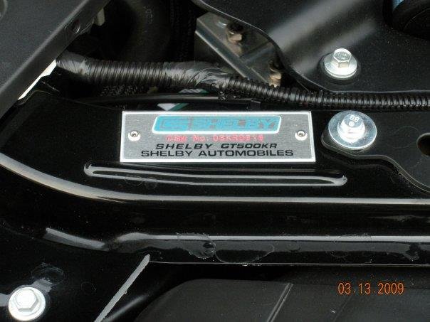 John Schweitzer's album, GT 500 KR