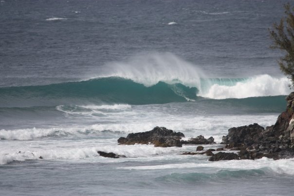 Mike Davis' album, a couple shots of honolua bay