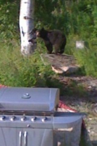 Michael Story's album, Timeline Photos