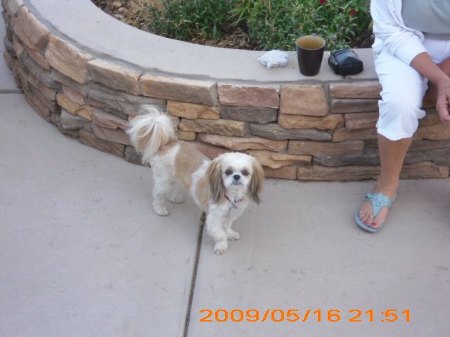John Kyker's album, July 4th 2010 - Payson (Date on camera wrong)