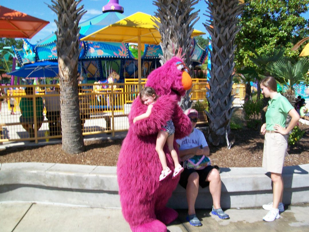 Debra Vaello's album, Seaworld Summer 2012
