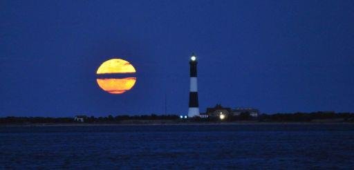 Steve D'amico's album, Cover Photos