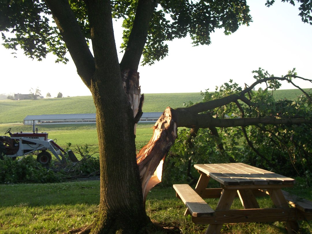 Tammy Warner's album, storm june29 2012
