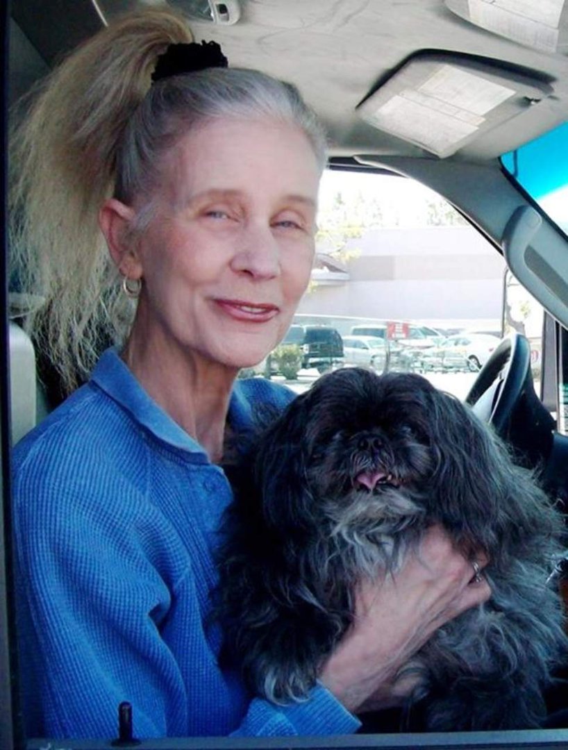 Barbara Vetromile's album, Profile Pictures