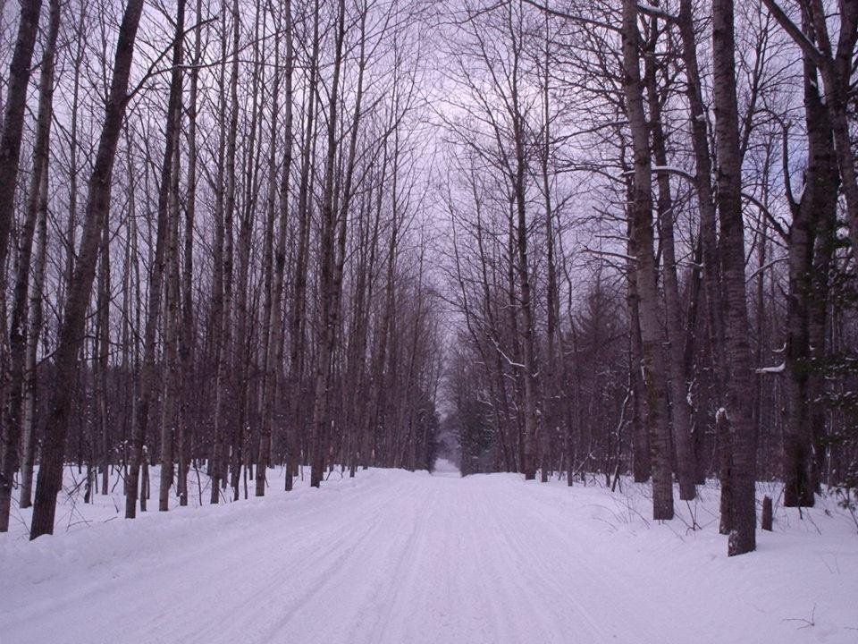 mARSHALL Hodges' album, Snowmobiling in Cadillac Michigan