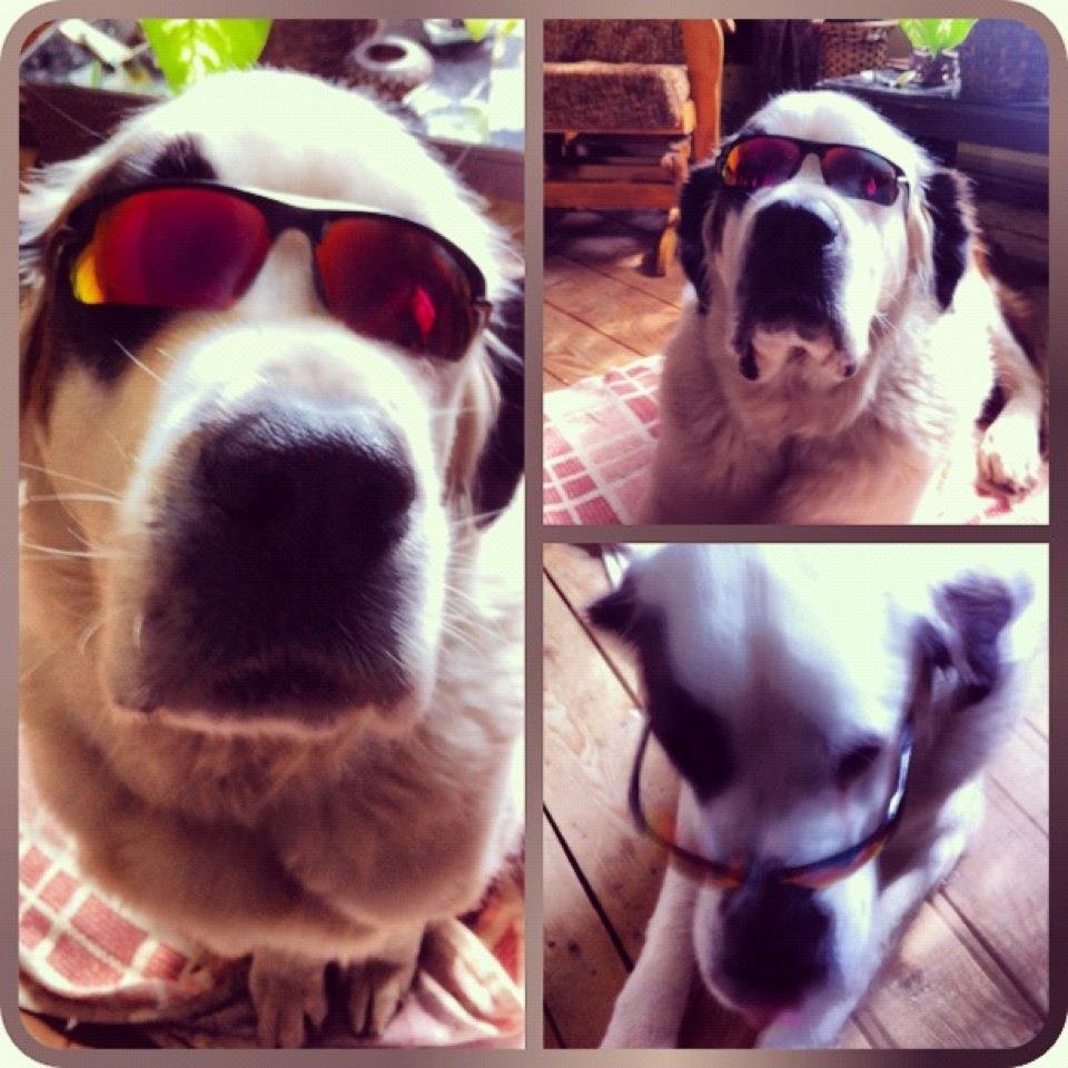 Patrick Roy's album, Betsy