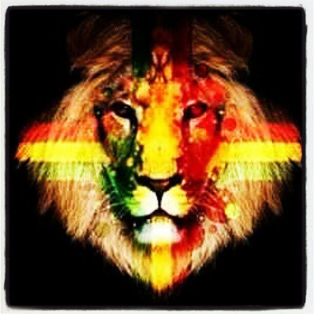 Shallian Johnson's album, Cover Photos