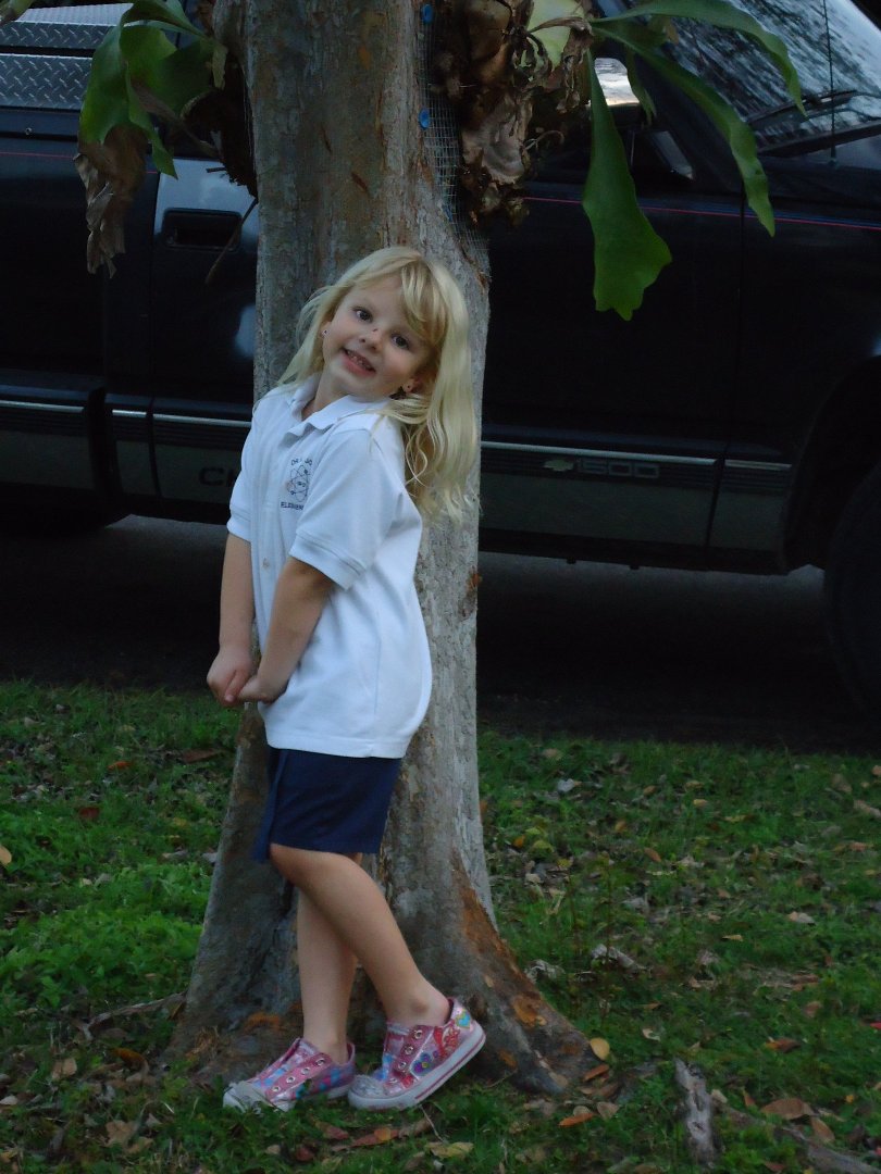 Darilyn Paulsen's album, Profile Pictures