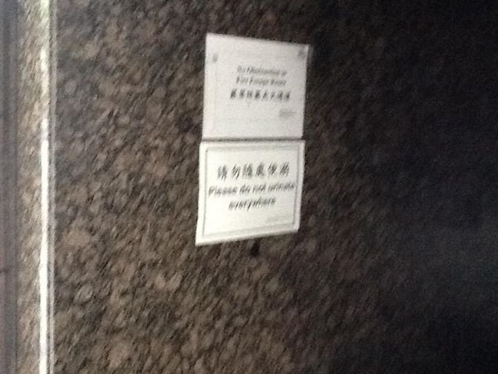 Donald Rahm's album, Mobile Uploads
