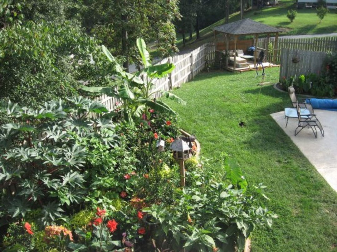 Sharon Moore's album, Missing My Garden
