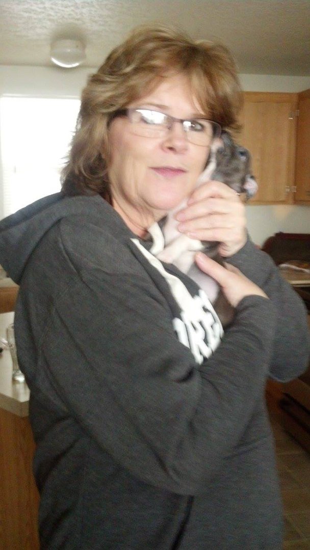Trish Harris' album, Mobile Uploads