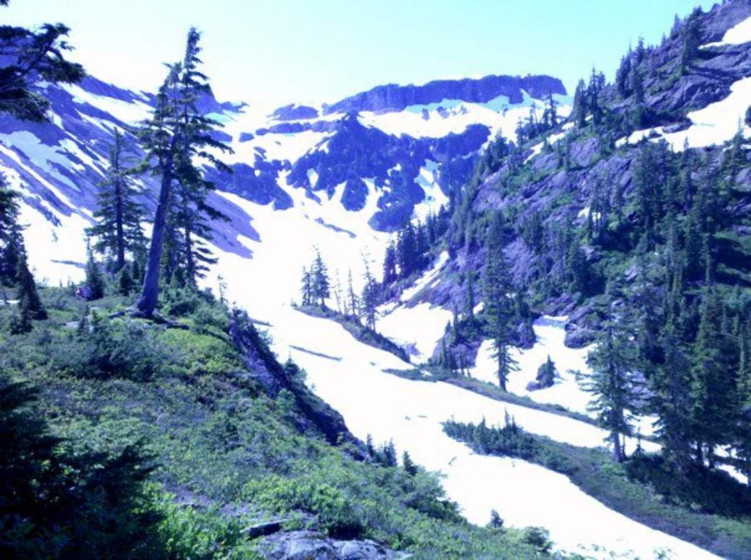 Mark Tilley's album, Jul 8, 2011