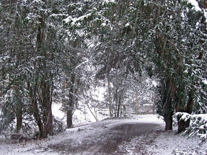 Patti Moore's album, Timeline Photos