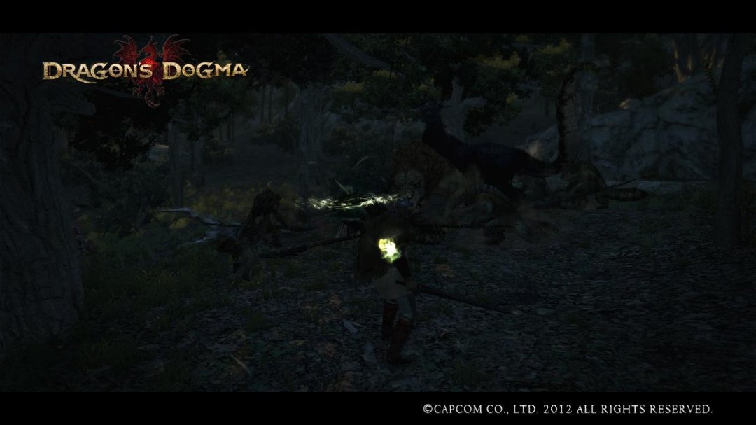 Daniel Ortiz's album, Dragon's Dogma Photos