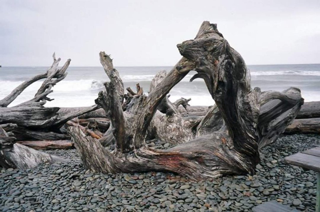 Peter Wittemann's album, Untitled Album