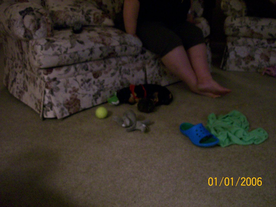 Meaghan Beverage's album, Kodak EasyShare