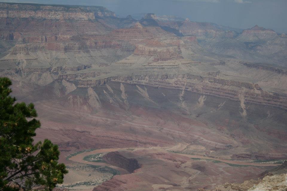 Florence Barron's album, Arizona Vacation 2012