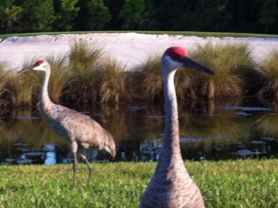 John Krumm's album, iOS Photos