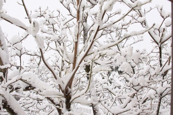 Stacey Smith's album, Weekend Storm 2010