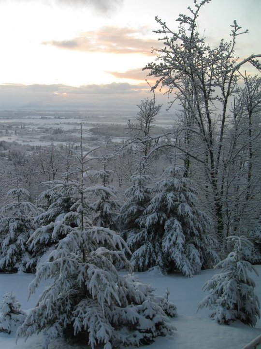 Lon Jackson's album, Snow Fall on the Mountain