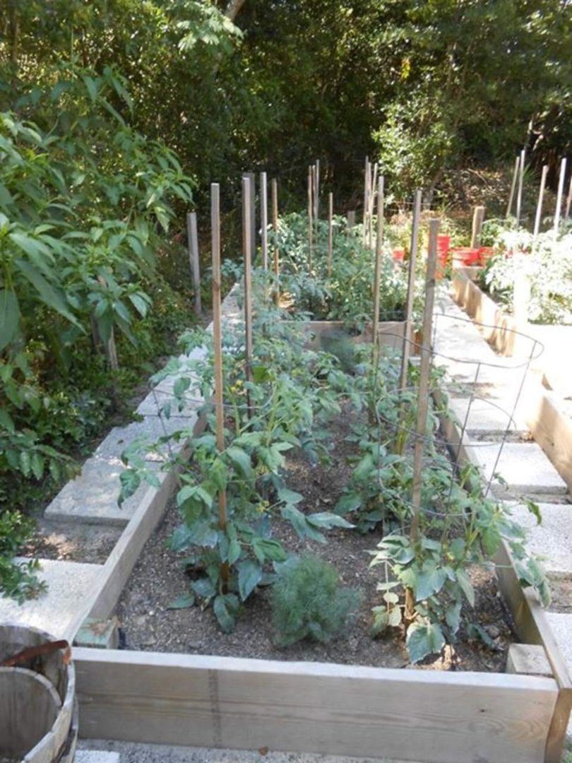James (Jimmy) Johnson's album, SPRING GARDEN MAY 2012
