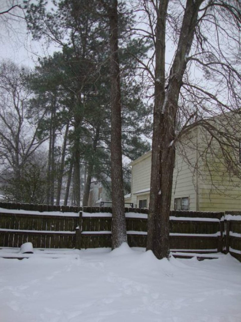 Drew Durette's album, Snow Storm