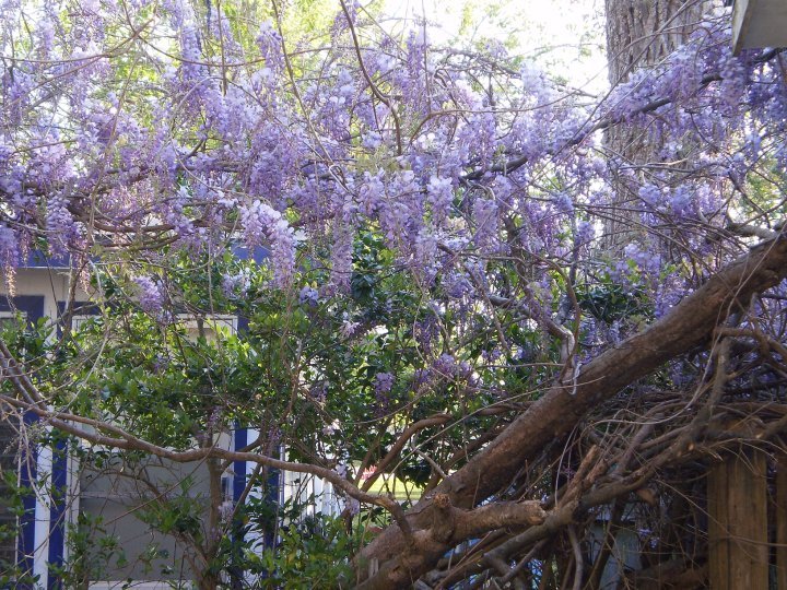 Stan Williams' album, Timeline Photos
