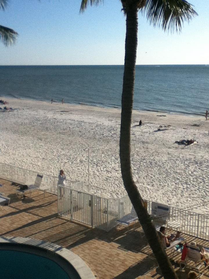 will jones' album, Disney & Ft. Meyers Beach