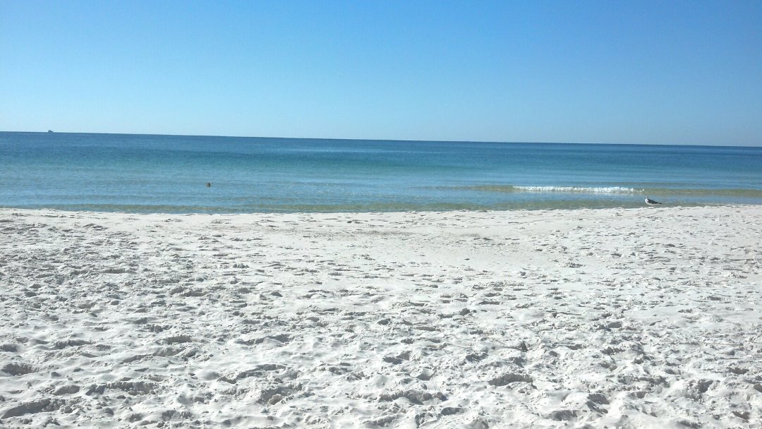 Sandy Duke's album, Cover Photos