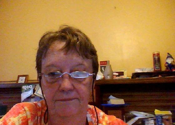 Lynn Bushey's album, Profile Pictures