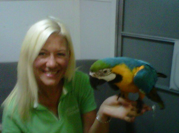 Terri McLaughlin's album, Mobile Uploads