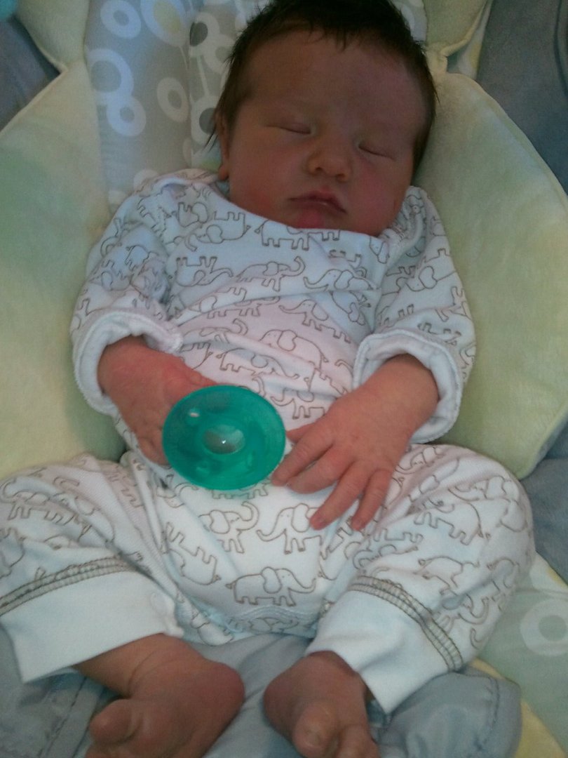 Shannon Webb's album, Mobile Uploads