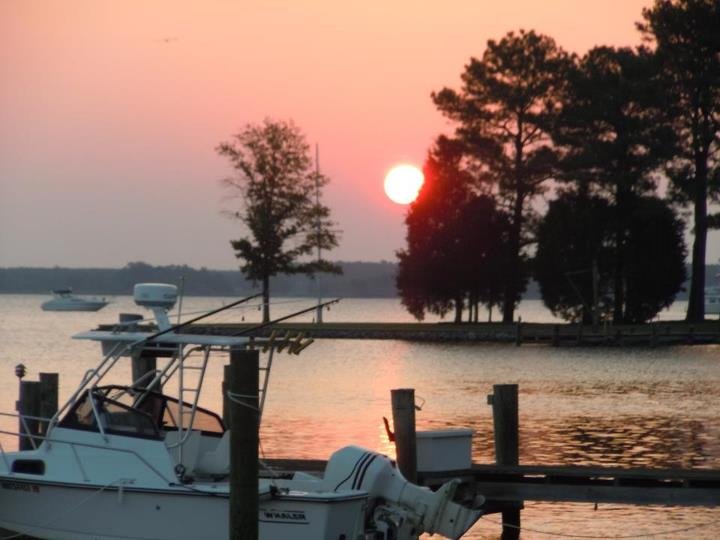Janice Burdon's album, Cover Photos