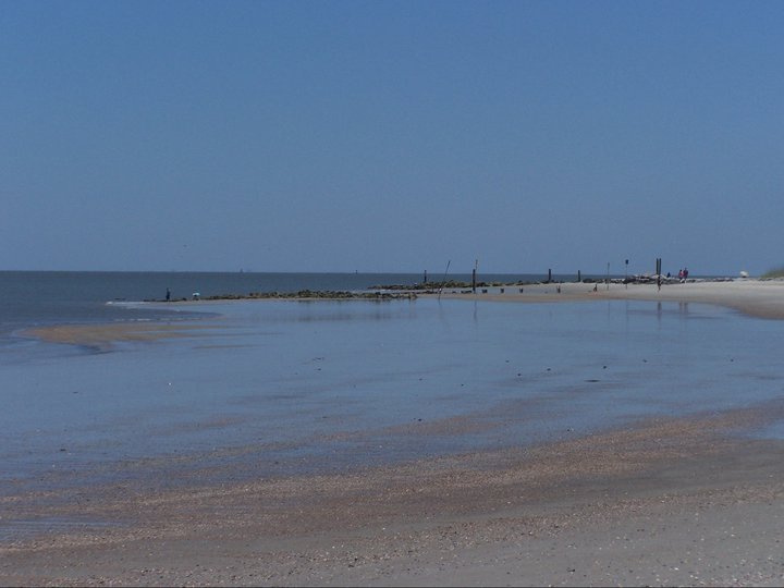 Dennis Messer's album, May 22, 2011