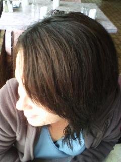Stacey Lowes' album, Ness Creek. . .