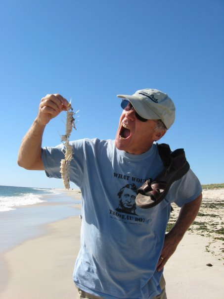 Peter Dowling's album, Profile Pictures