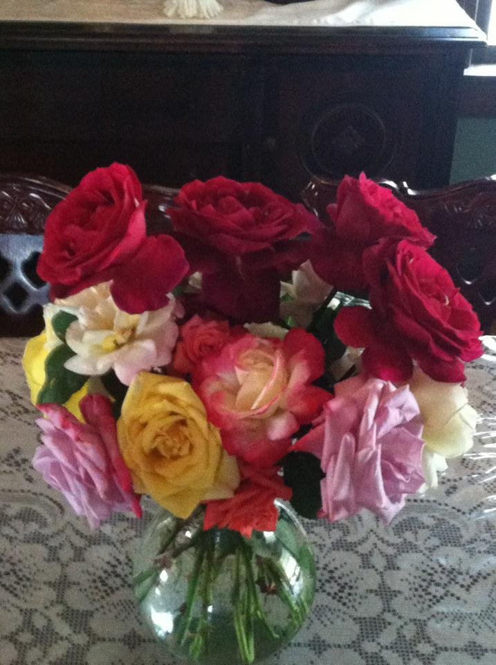 Chris Janton's album, Mobile Uploads